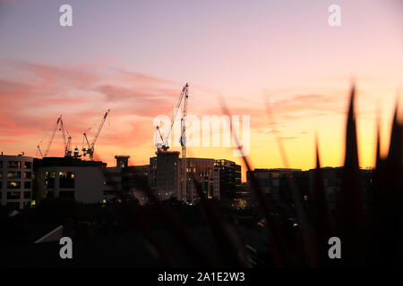 Krane über die Gebäude im Kings Cross konstruiert werden, bei Sonnenuntergang, im Norden von London, England, Großbritannien Stockfoto