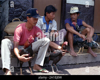 Pasar Burung, NGASEM, Bird Market, Yogyakarta, Java, Indonesien, 1989 Stockfoto