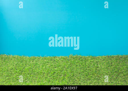 Grüne Weiden in der Natur und ein blauer Hintergrund hell. Blauer Hintergrund und das künstliche Gras grün. Stockfoto
