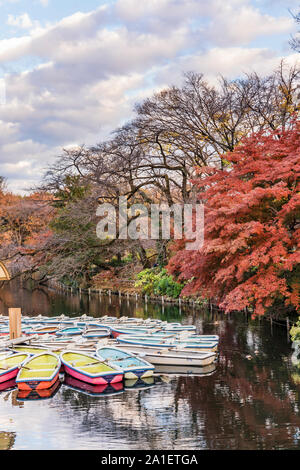 Eine Sammlung von Boote schwimmend im Teich von kichijoji Inokashira Park Stockfoto