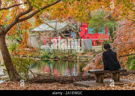 Mann zurück sitzen auf einer Bank in der inokashira Park der Stadt mit der kichijoji Benzaiten Tempel im Herbst Laub abgedeckt Stockfoto