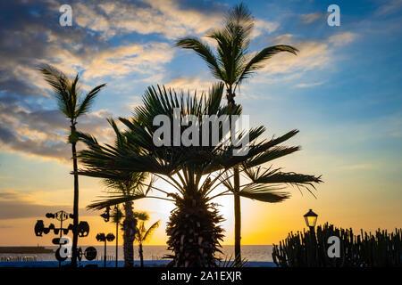 Sonnenuntergang an der Promenade in Puerto de la Cruz, Teneriffa Stockfoto