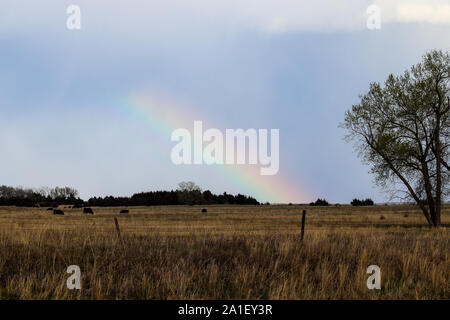 Regenbogen über Nebraska landet Stockfoto