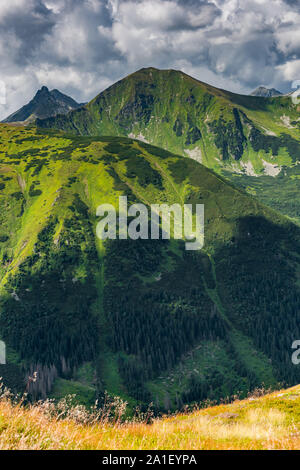 Schöne Aussicht über Hils und Gipfeln in Tatra, Polen. Stockfoto