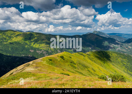 Schöne Aussicht über Hils und Gipfeln in Tatra, Polen. Stockfoto