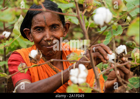 Indien Odisha, Dorf Badaraising, Fairtrade Baumwolle Bauern von Agrocel in der Nähe von Schönwald/INDIEN Orissa Raygada, Fairtrade Baumwollbauern von Agrocel, Stockfoto