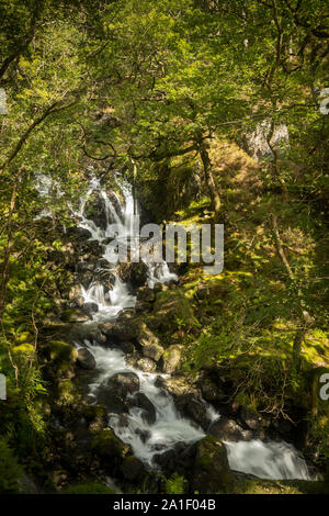 Cadair Idris, Wales Stockfoto