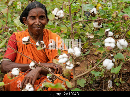 Indien Odisha, Dorf Badaraising, Fairtrade Baumwolle Bauern von Agrocel in der Nähe von Schönwald/INDIEN Orissa Raygada, Fairtrade Baumwollbauern von Agrocel, Stockfoto