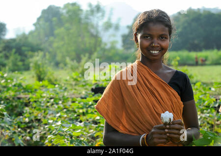 Indien Odisha, Dorf Kodesu, Fairtrade Baumwolle Bauern von Agrocel in der Nähe von Schönwald/INDIEN Orissa Raygada, Fairtrade Baumwollbauern von Agrocel, Dorf, Farmerin Kodesu Meneka Bidiki 23 Jahre Stockfoto