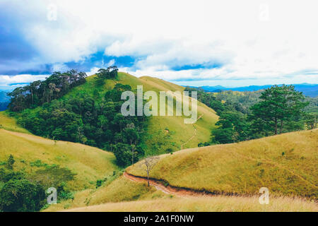 Landschaft von Hügeln. Royalty hochwertige Lager Bild der Landschaft. Schöne Gras Hügel im alten Wald in Ta Nang, Lam Dong, Vietnam. Stockfoto