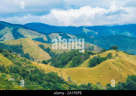 Landschaft von Hügeln. Royalty hochwertige Lager Bild der Landschaft. Schöne Gras Hügel im alten Wald in Ta Nang, Lam Dong, Vietnam. Stockfoto