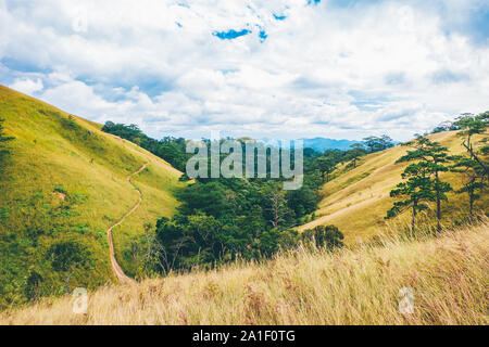 Landschaft von Hügeln. Royalty hochwertige Lager Bild der Landschaft. Schöne Gras Hügel im alten Wald in Ta Nang, Lam Dong, Vietnam. Stockfoto