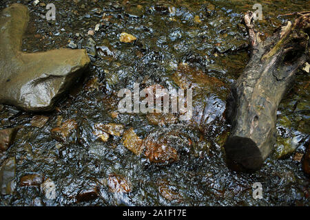 Fließenden Bergbach mit transparentem Wasser und Steine auf der Unterseite. Stockfoto