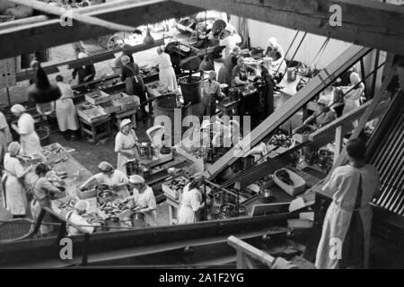 Werkshalle der Konservenfabrik C... Lampe in Braunschweig, Deutschland 1939. Workshop der Konservenfabrik C... Lampe in Braunschweig, 1939. Stockfoto