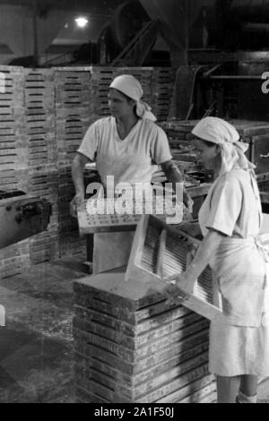 Die meisten Schokoladenfabrik in Halle (Saale), 1950er. Schokoladenfabrik in Halle an der Saale, 1950. Stockfoto