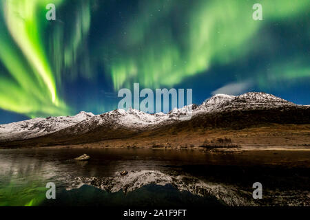 Aurora borealis, Northern Lights, aktive, farbigen Vorhängen, coronas, über Nacht Himmel, Polarkreis, Kvaloya Insel Tromso Norwegen 2018 Beste Stockfoto