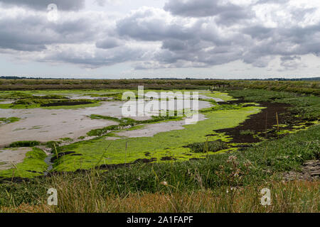 Umgebung der Wattflächen auf der Halbinsel Dengie um South Woodham Ferrers. Essex. Großbritannien Stockfoto