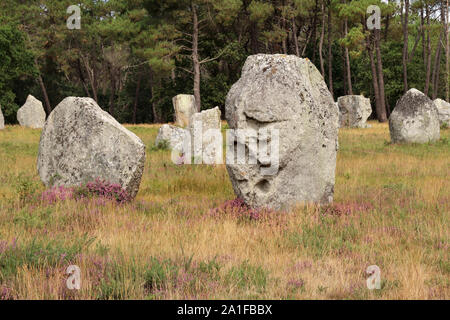 Menhire der Alignements von Kerlescan, Zeilen der stehenden Steine, der größten Megalithen in der Welt, Carnac, Bretagne, Frankreich Stockfoto