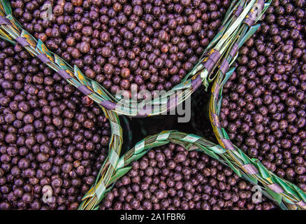 Acai Beeren, eine exotische Frucht von Amazon, auf Körbe Stockfoto