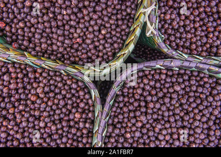 Acai Beeren, eine exotische Frucht von Amazon, auf Körbe Stockfoto