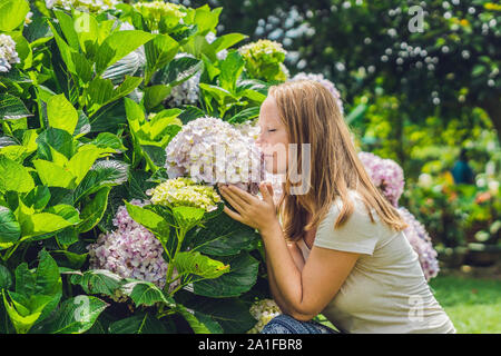 Junge Frau auf dem Hintergrund der Rosa hortensie Blumen blühen im Garten Stockfoto