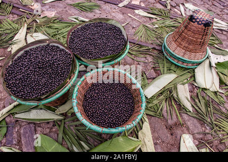 Acai Beeren, eine exotische Frucht von Amazon, auf Körbe, in den Straßen Stockfoto