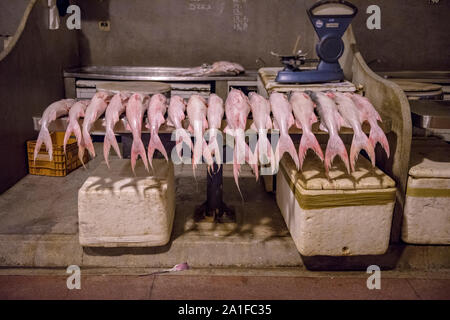 Fische auf einem Stand von Ver-o-Peso Markt in den frühen Morgenstunden Stockfoto