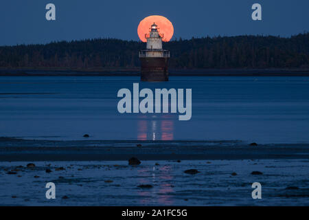 Die Harvest Moon von Freitag der 13. steigt hinter dem lubec Kanal Leuchtturm, wie die "Zündkerze" wegen seiner Form bekannt. Kormorane Liebe zum Sitzen Stockfoto
