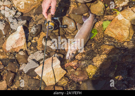 Der Fischer sieht sich die gefangenen Fisch. Stockfoto