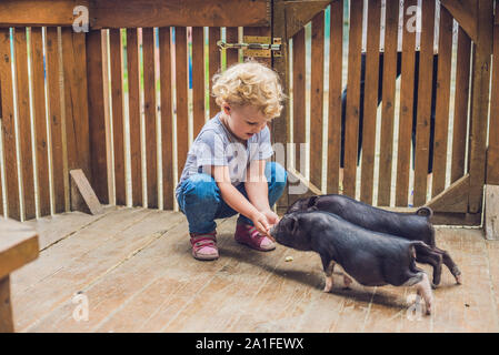 Kleinkind Mädchen streichelt und füttert Schwein Ferkel im Streichelzoo. Konzept der Nachhaltigkeit, Liebe zur Natur, die Achtung für die Welt und die Liebe zu Tieren. Stockfoto