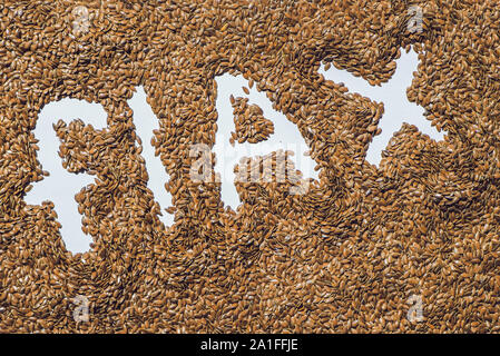 Flachs Wort aus Leinsamen auf weißem artist Canvas. Stockfoto