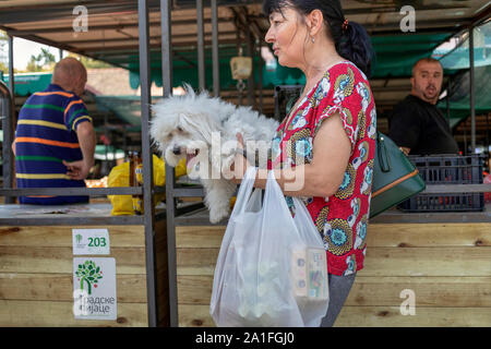 Belgrad, Serbien, 23.August 2019: städtische Szene mit Frau Einkaufen am grünen Markt Zemun beim Halten eines Hundes (Coton de Tulear) in ihre Arme Stockfoto