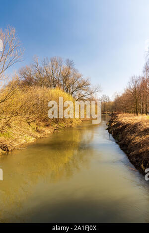 Odra River mit Bäumen um klare Himmel über im frühen Frühjahr LANDSCHAFTSSCHUTZGEBIETES Poodri und in der Nähe von Studenka Stadt in der Tschechischen Republik Stockfoto