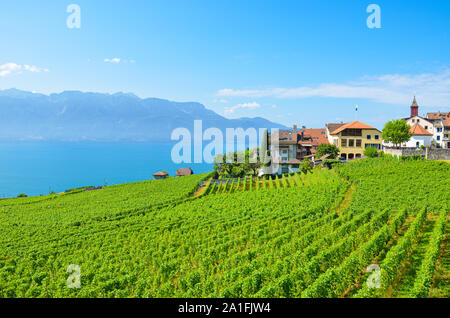 Malerische Weindorf Rivaz im Lavaux Wein Region, Schweiz. Den Genfer See und die Schweizer Alpen im Hintergrund. Grüner Weinberg am Hang durch den berühmten See. Schweizer Sommer. Stockfoto