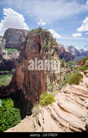 Die bekanntesten und schönsten Teil der Angels Landing im Zion National Park, Utah, USA Stockfoto