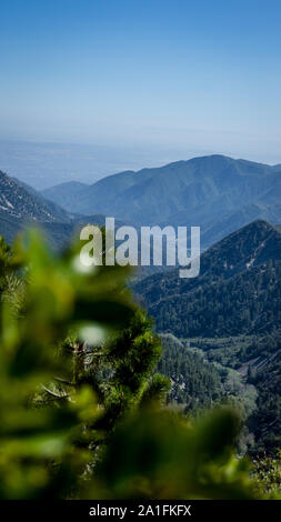 Fantastische Farben auf Mount Baldy in Kalifornien, USA Stockfoto