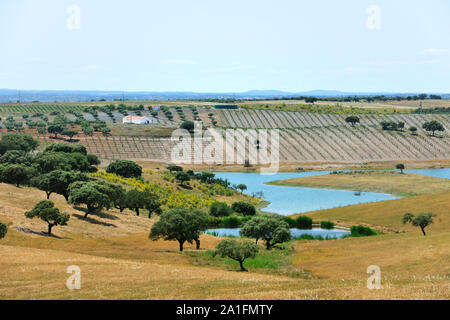 Alqueva dam. Fluss Guadiana, Estrela. Alentejo, Portugal Stockfoto