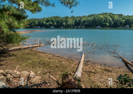 Mehrere Bäume in der See wegen einer Dürre auf einem hellen, sonnigen Tag im frühen Herbst von Erosion gefallen Stockfoto