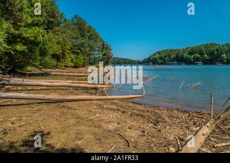 Mehrere Bäume in einer Reihe von Erosion in den See gefallen wegen einer Dürre auf einem hellen, sonnigen Tag im frühen Herbst Stockfoto