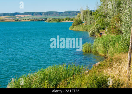 Sommer am Nachmittag auf dem See von Arcos de la Frontera, Provinz Cádiz, Andalusien, Spanien. Stockfoto