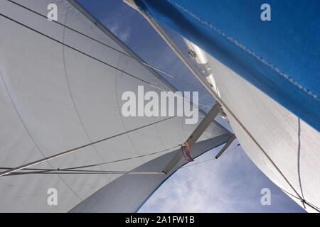 Weiß & Blau Segel eine Segelyacht im Wind. Mast und Rigg auf dem Segelboot Stockfoto
