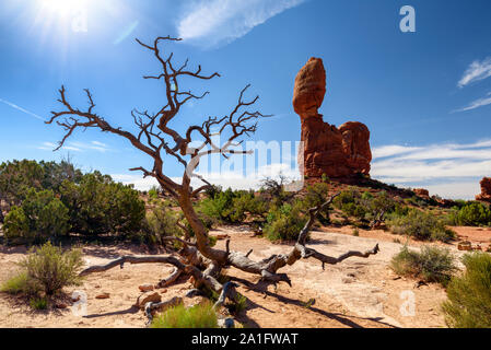 Balanced Rock im Arches National Park, Utah, USA. Stockfoto