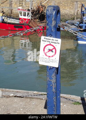 Nicht füttern die Möwen Warnschild an Post durch den Hafen Stockfoto
