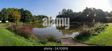 Blick gegen die Sonne der Stanners Pool entlang der Sankey Valley Trail bei Winwick Quay, Warrington Stockfoto
