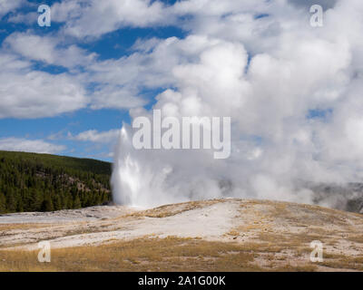 Old Faithful Geyser ausbrechenden, Upper Geyser Basin, Yellowstone National Park, Wyoming, USA Stockfoto