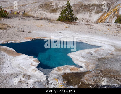 Blue Star Feder und mineralische Ablagerungen, Upper Geyser Basin, Yellowstone National Park, Wyoming, USA Stockfoto