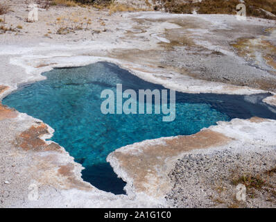 Blue Star Feder und mineralische Ablagerungen, Upper Geyser Basin, Yellowstone National Park, Wyoming, USA Stockfoto