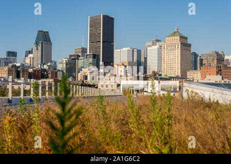 Montreal, CA - 21. September 2019: Skyline von Montreal vom Grand Quay im Alten Hafen Stockfoto