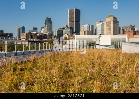 Montreal, CA - 21. September 2019: Skyline von Montreal vom Grand Quay im Alten Hafen Stockfoto