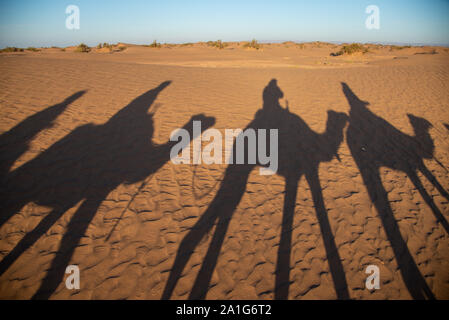 Gruppe von Touristen auf dem Kamel Safari in der Wüste von Marokko Stockfoto